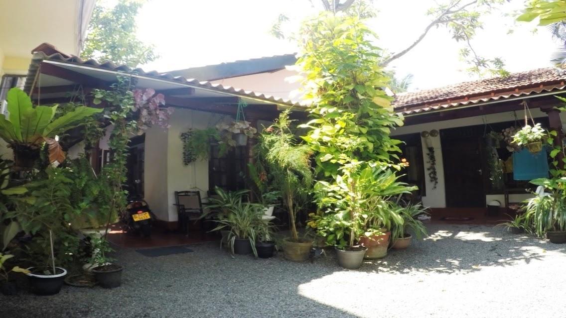 Mia'S Villa Hikkaduwa Exterior foto